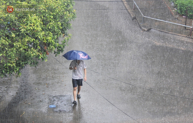 Ảnh: Cơn mưa vàng xối xả giải nhiệt cho Sài Gòn từ sáng sớm, chấm dứt chuỗi ngày nắng nóng kinh hoàng - Ảnh 14.