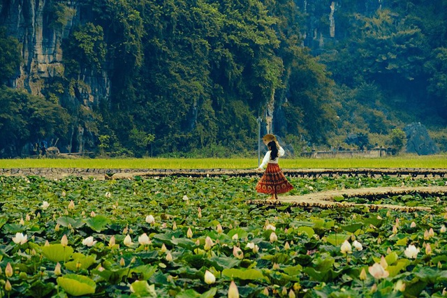 Nếu yêu thiên nhiên và muốn đắm chìm trong khung cảnh bình yên của vùng sông nước, Ninh Bình chính là điểm đến tuyệt vời dành cho bạn - Ảnh 8.