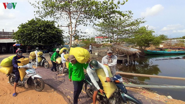 Người Cà Mau thu nhập khá từ nghề tải lúa trong mùa khô hạn - Ảnh 12.