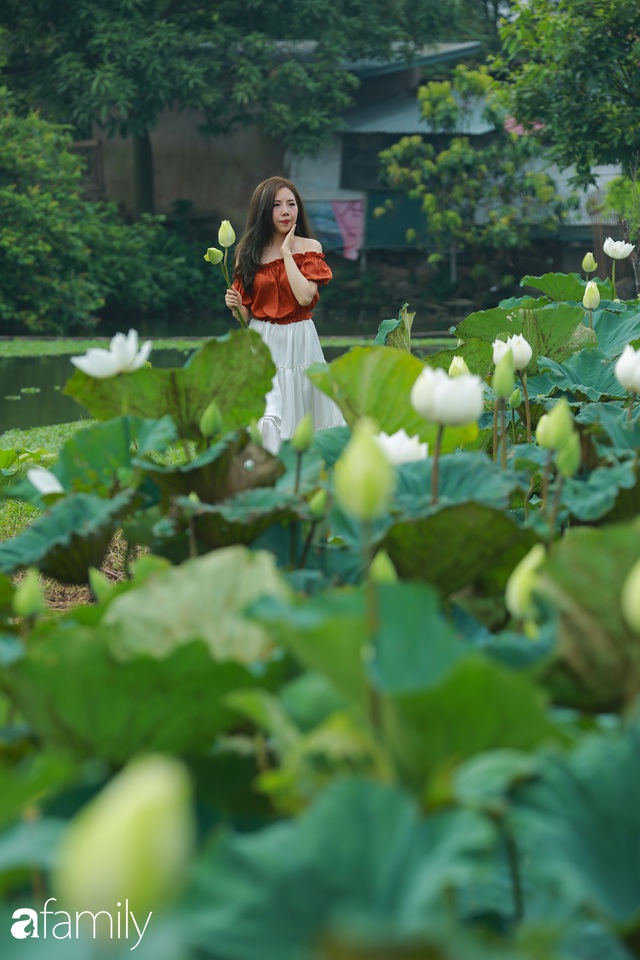 Chuyện ít ai biết về hồ sen trắng mang chuẩn nét đẹp xứ Huế nằm tại Thủ đô Hà Nội khiến bao chị em mê đắm - Ảnh 17.