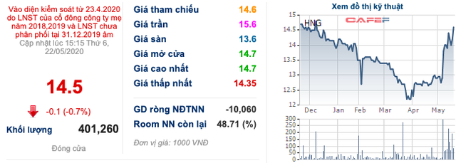 HAGL Agrico (HNG) huy động 200 tỷ trái phiếu - Ảnh 1.