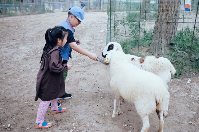 Khí hậu dễ chịu, cảnh sắc thơ mộng cùng vô vàn món ăn ngon, giá rẻ: Đà Lạt chính là lựa chọn số 1 để trốn cái nắng hè nóng nực này!  - Ảnh 2.