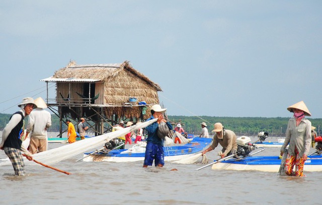 Cào nghêu giống trái phép ở bãi bồi Mũi Cà Mau - Ảnh 5.