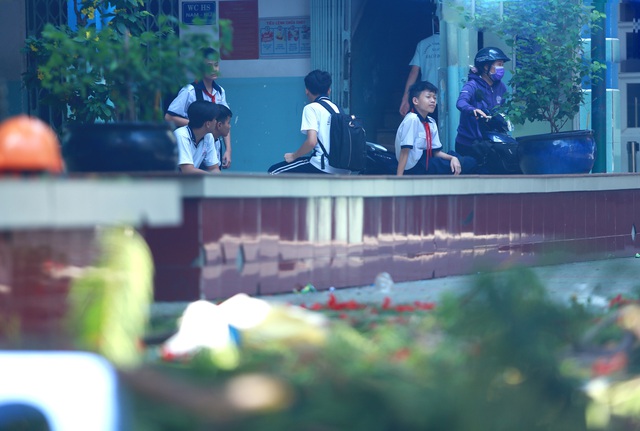  Cận cảnh gốc phượng vĩ mục ruỗng đổ gãy đè 13 học sinh thương vong ở Sài Gòn - Ảnh 13.