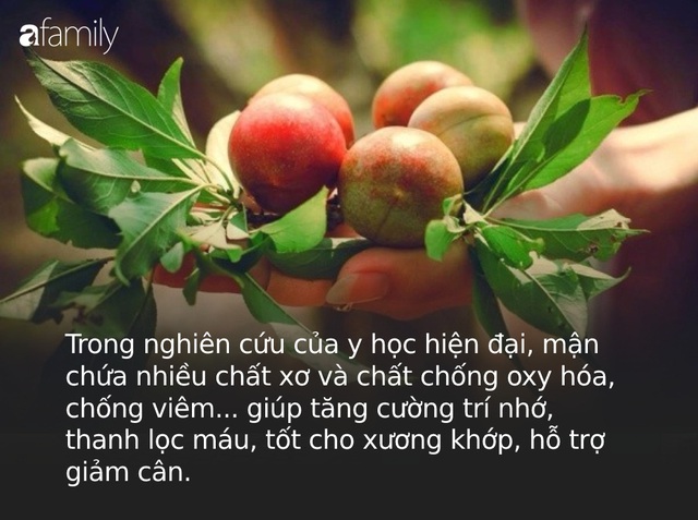 Mận là loại trái cây cực tốt nhưng có những người tốt nhất không nên ăn, đặc biệt là 5 đối tượng này - Ảnh 1.