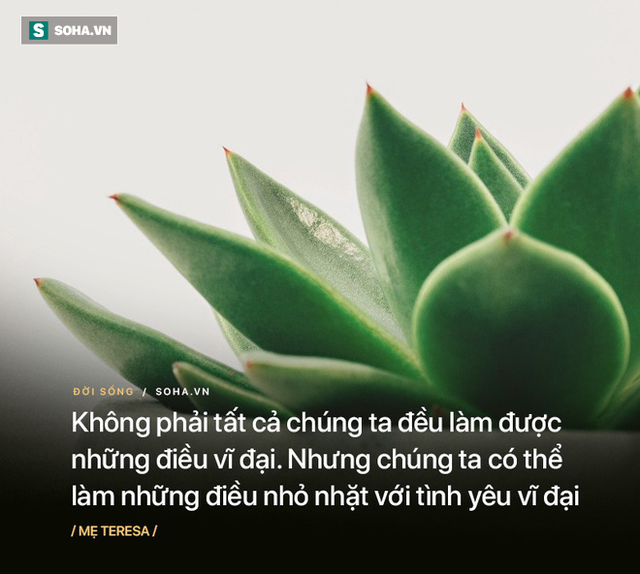 Có 5 con ếch trên 1 cái lá hoa súng, 1 con quyết định nhảy, hỏi còn lại bao nhiêu con? - Ảnh 3.