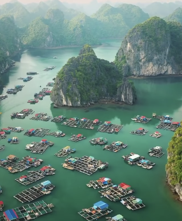 Leonardo DiCaprio chia sẻ hình ảnh vịnh Lan Hạ của Việt Nam trên Instagram, còn kêu gọi mọi người bảo vệ vẻ đẹp của nơi này - Ảnh 3.