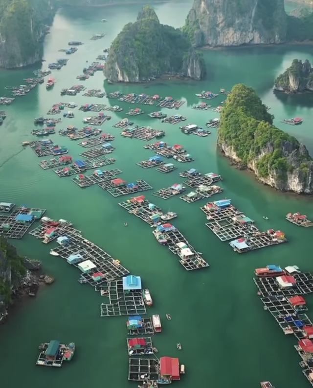 Leonardo DiCaprio chia sẻ hình ảnh vịnh Lan Hạ của Việt Nam trên Instagram, còn kêu gọi mọi người bảo vệ vẻ đẹp của nơi này - Ảnh 4.