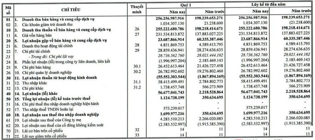 Gỗ Trường Thành (TTF): Quý 1 thoát lỗ nhờ khoản tiền bồi thường từ cổ đông - Ảnh 1.