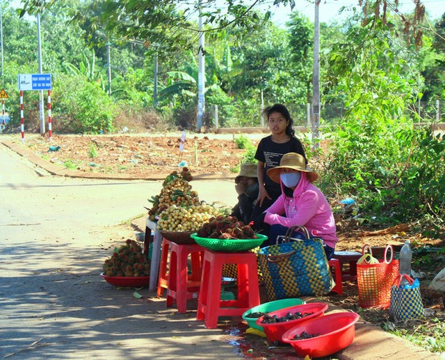 Độc lạ các loại trái cây rừng tràn xuống phố - Ảnh 1.