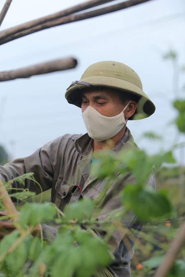 Nhịp sống Hạ Lôi ngày cuối cùng cách ly: Chúng tôi mong đến ngày hết dịch để đi làm chứ nằm ở nhà thì chết - Ảnh 13.