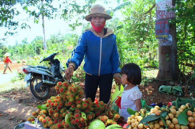 Độc lạ các loại trái cây rừng tràn xuống phố - Ảnh 6.