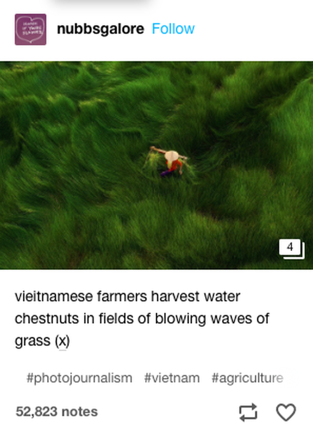 Bộ ảnh đồng cỏ Việt Nam “lượn sóng” đang gây bão mạng quốc tế, nhưng cả ngàn người nước ngoài lại bị nhầm lẫn ở một điểm này - Ảnh 1.
