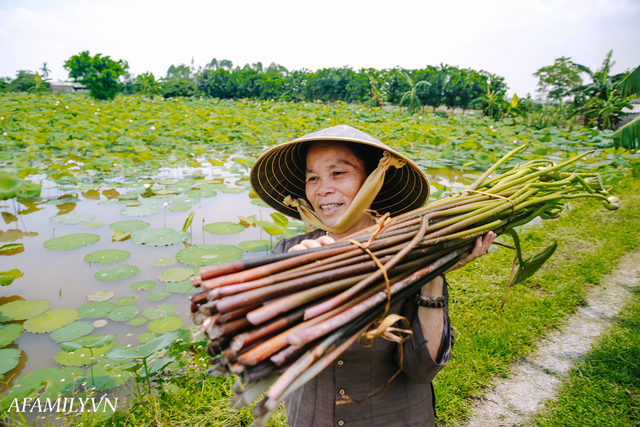 Người phụ nữ chân quê ngoại thành Hà Nội với biệt tài bắt sen nhả tơ, làm nên chiếc khăn giá chẳng kém gì hàng hiệu nổi tiếng - Ảnh 6.