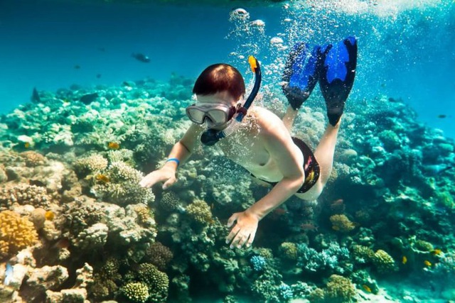 6 vùng biển lặn ngắm san hô đẹp nhất Việt Nam: Rực rỡ đến mê đắm lòng người - Ảnh 16.