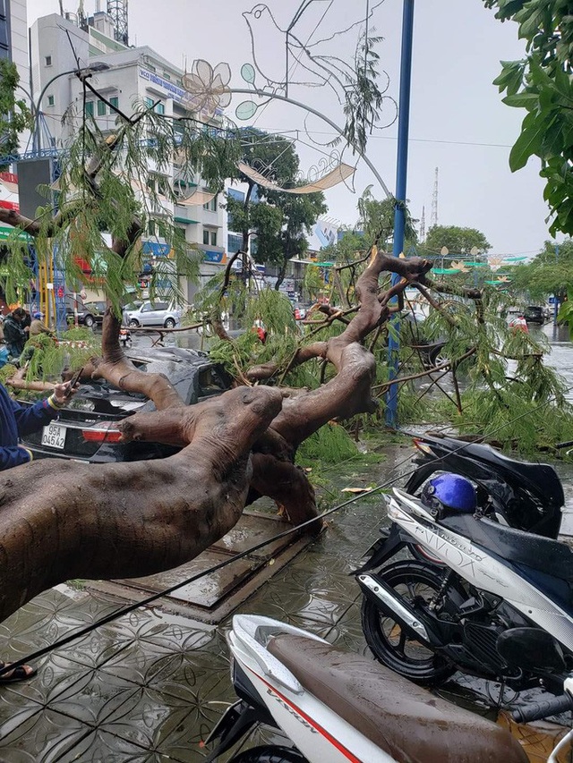  Mưa giông khiến nhà bay, phượng vĩ bật gốc đè ô tô Camry ở miền Tây  - Ảnh 1.