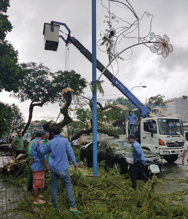  Mưa giông khiến nhà bay, phượng vĩ bật gốc đè ô tô Camry ở miền Tây  - Ảnh 2.