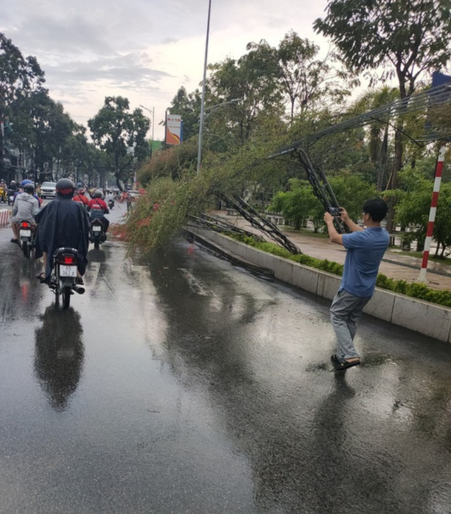  Mưa giông khiến nhà bay, phượng vĩ bật gốc đè ô tô Camry ở miền Tây  - Ảnh 3.