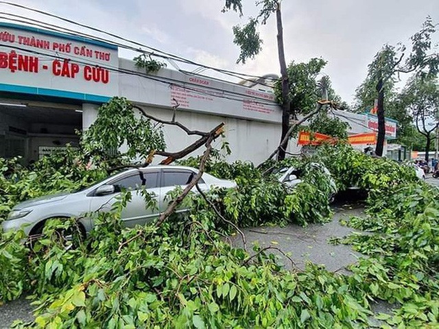  Mưa giông khiến nhà bay, phượng vĩ bật gốc đè ô tô Camry ở miền Tây  - Ảnh 5.