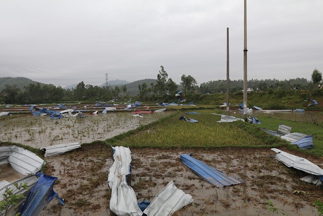  Danh tính 3 nạn nhân tử vong trong vụ lốc xoáy làm sập nhà xưởng hơn 2.000m2 ở Vĩnh Phúc - Ảnh 7.