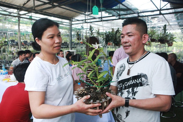 Đại gia Hà Nội chi mạnh 5 tỷ đồng mua giò lan đột biến nhìn như... ngọn rau muống - Ảnh 2.