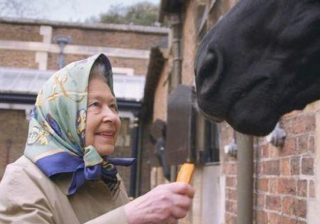Thực đơn ăn kiêng và bí quyết giữ sức khỏe giá bình dân giúp Nữ hoàng Elizabeth II ở tuổi 94 vẫn trẻ trung, khỏe mạnh - Ảnh 11.