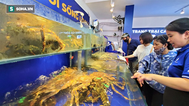 Chen chân mua hải sản giảm sốc 50%, tôm hùm 640.000 đồng/kg, ghẹ xanh 500.000 đồng/kg - Ảnh 12.