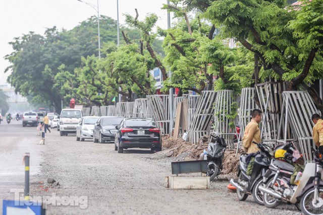 Lo ngại mất trộm, Hà Nội mặc áo giáp sắt cho hàng sưa đỏ - Ảnh 2.