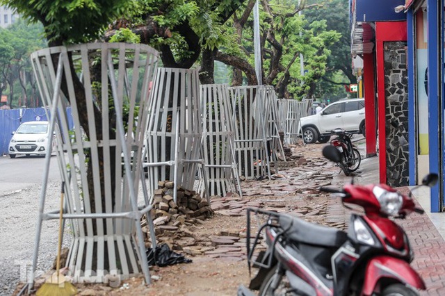 Lo ngại mất trộm, Hà Nội mặc áo giáp sắt cho hàng sưa đỏ - Ảnh 4.