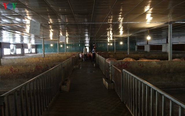 Chợ lợn lớn nhất miền Bắc đìu hiu, ế ẩm - Ảnh 18.