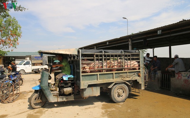 Chợ lợn lớn nhất miền Bắc đìu hiu, ế ẩm - Ảnh 6.