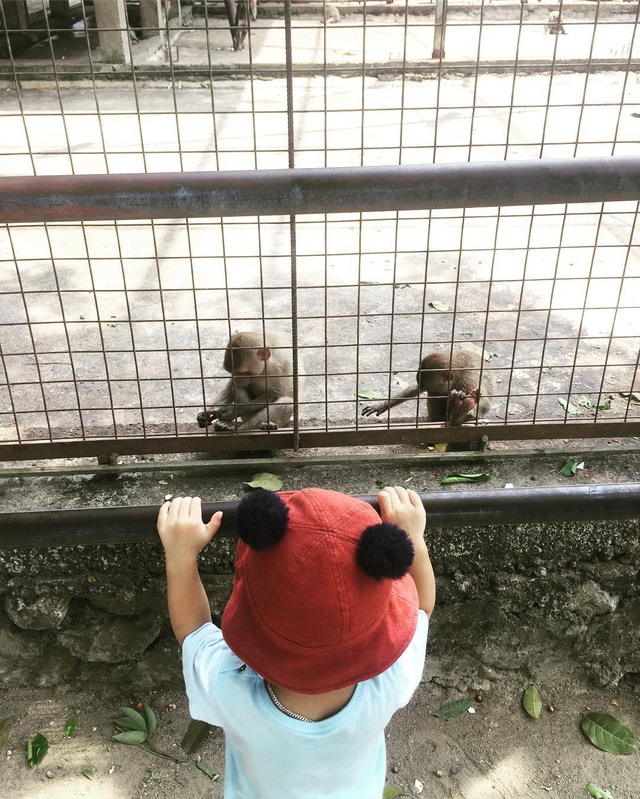 3 vườn thú safari ở Việt Nam: Tận mắt chiêm ngưỡng thế giới hoang dã với giá cực phải chăng, phù hợp với các gia đình có con nhỏ  - Ảnh 3.