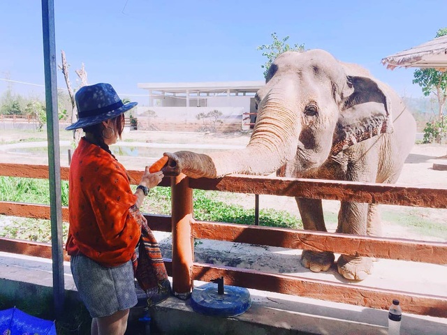 3 vườn thú safari ở Việt Nam: Tận mắt chiêm ngưỡng thế giới hoang dã với giá cực phải chăng, phù hợp với các gia đình có con nhỏ  - Ảnh 9.