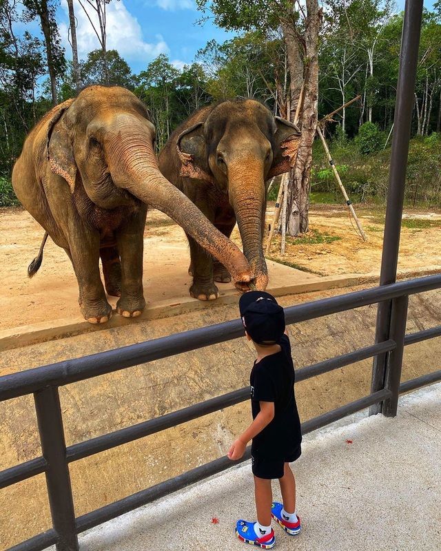 3 vườn thú safari ở Việt Nam: Tận mắt chiêm ngưỡng thế giới hoang dã với giá cực phải chăng, phù hợp với các gia đình có con nhỏ  - Ảnh 13.