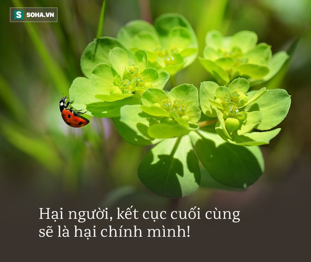 7 giới hạn không được phép vượt qua, dù già hay trẻ cũng đều phải nhớ nếu để tránh tai họa khôn lường - Ảnh 2.