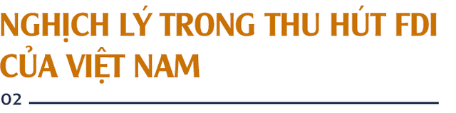 GS. Nguyễn Mại: Tương lai dòng FDI vào Việt Nam và nỗi lo của những doanh nghiệp như Samsung khi Vingroup, Viettel... lớn lên - Ảnh 4.