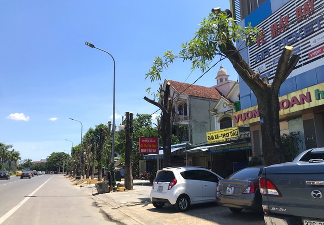  Hàng loạt cây xanh ở thành phố Vinh bị cắt trụi trong nắng nóng đỉnh điểm - Ảnh 4.