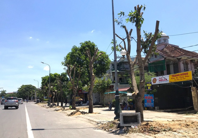  Hàng loạt cây xanh ở thành phố Vinh bị cắt trụi trong nắng nóng đỉnh điểm - Ảnh 10.