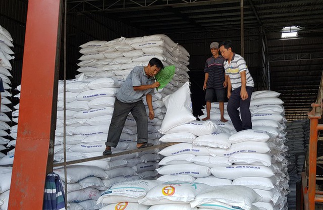 Philippines loại bỏ kế hoạch nhập khẩu 300.000 tấn gạo - Ảnh 1.
