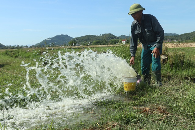  Cận cảnh đồng ruộng nứt toác, trắng xóa như sa mạc, dân khát nước sinh hoạt - Ảnh 5.