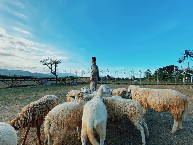 Chinh phục đảo Bình Hưng hè này chỉ với 2,8 triệu VNĐ: Vẻ đẹp hoang sơ đầy thơ mộng của 1 trong “Tứ Bình” thiên đường biển của Việt Nam - Ảnh 9.