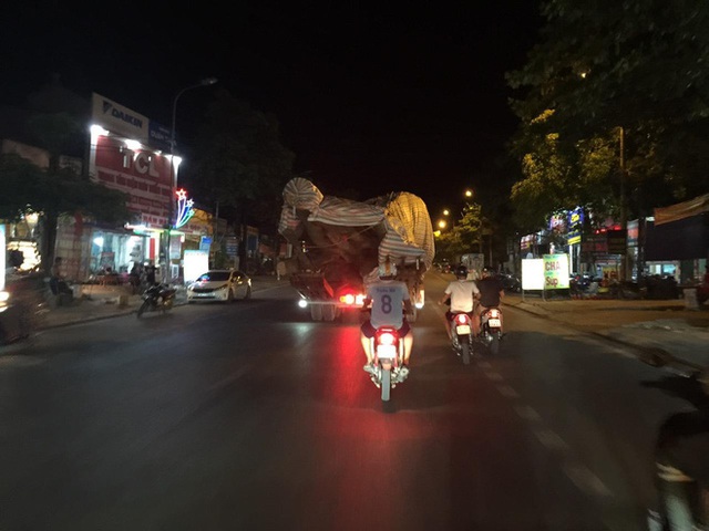  Xôn xao hình ảnh xe chở cây quái thú băng băng chạy trên đường ở Nghệ An - Ảnh 6.
