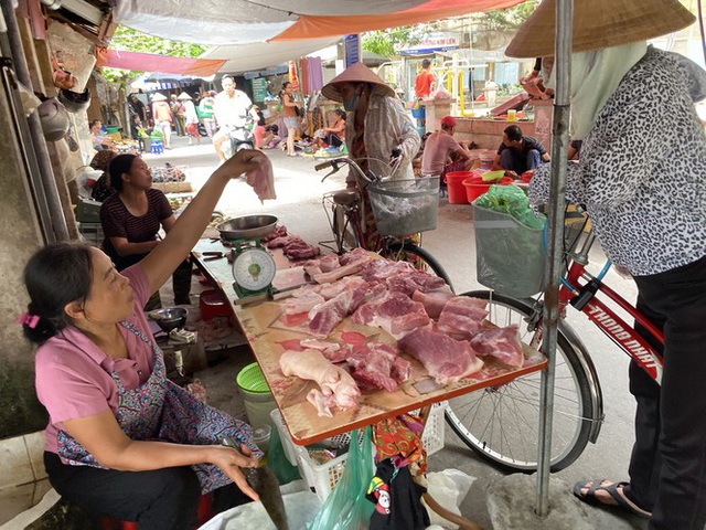 9.000 con lợn sống Thái Lan về Việt Nam bán ở đâu? - Ảnh 6.