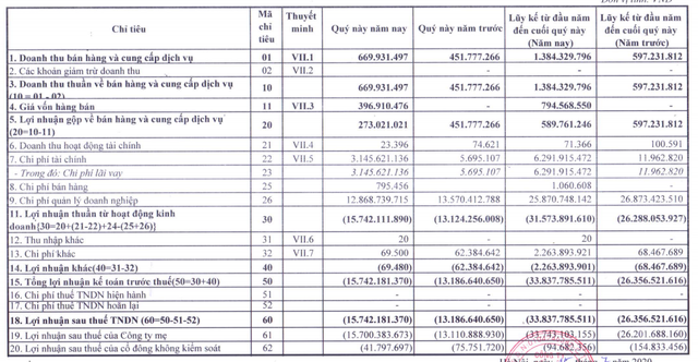 Hakinvest (HKB): Quý 2/2020 lỗ thêm 13 tỷ đồng - Ảnh 1.