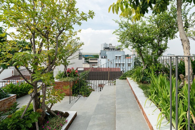 Nhờ có sân thượng trồng cây mà nhà phố xanh y như nhà vườn - Ảnh 10.