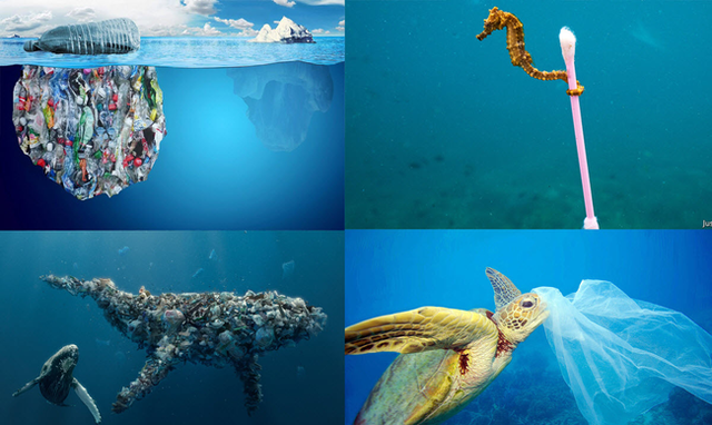 Chúng ta đang ăn đều đặn 2000 mảnh nhựa mỗi ngày, 30 năm nữa số nhựa trên biển sẽ nhiều hơn số cá đang bơi chỉ vì thói quen sống mà 100% người hiện đại đều có - Ảnh 3.