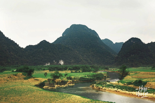 Nhìn những hình ảnh đẹp mê ly này mới hiểu vì sao dân tình kéo nhau đi Tú Làn ngày càng nhiều - Ảnh 1.