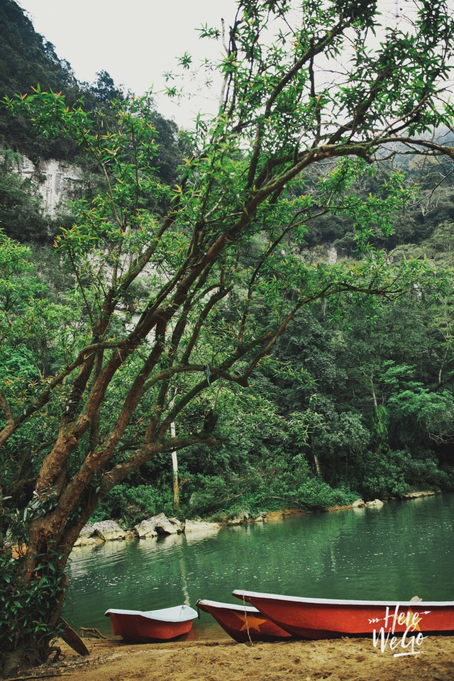 Nhìn những hình ảnh đẹp mê ly này mới hiểu vì sao dân tình kéo nhau đi Tú Làn ngày càng nhiều - Ảnh 8.