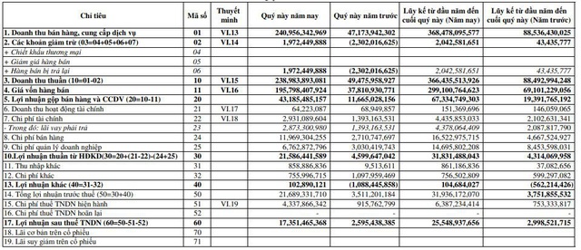 Danameco (DNM) báo lãi quý 2 tăng gấp 7 lần cùng kỳ - Ảnh 1.