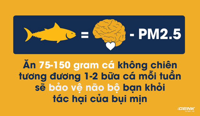 Ăn 1-2 bữa cá mỗi tuần để bảo vệ não bộ bạn khỏi tác hại của bụi mịn và ô nhiễm không khí - Ảnh 1.